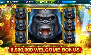 pnbet